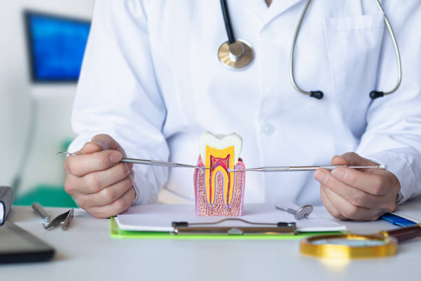 Best Weekend Emergency Dentist in Kewaunee, WI